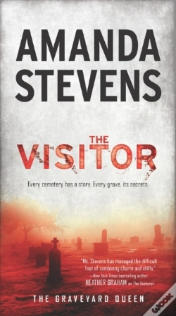 Capa do artigo Visitor
