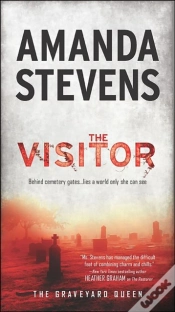 Capa do artigo Visitor