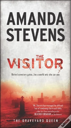 Capa do artigo Visitor
