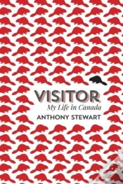 Capa do artigo Visitor