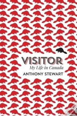 Capa do artigo Visitor