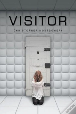 Capa do artigo Visitor