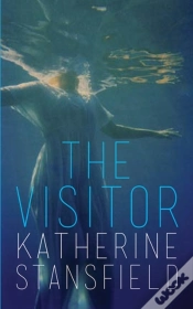 Capa do artigo Visitor