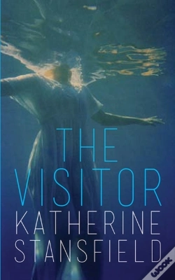 Capa do artigo Visitor