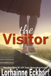 Capa do artigo Visitor