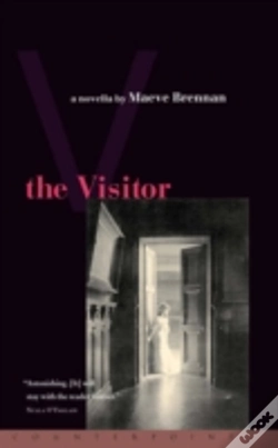 Capa do artigo Visitor