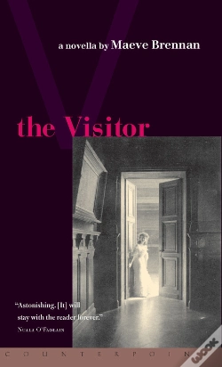 Capa do artigo Visitor