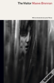Capa do artigo Visitor