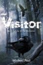 Visitor - Preview