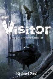 Capa do artigo Visitor