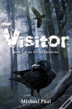 Capa do artigo Visitor