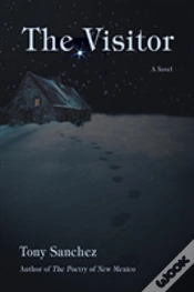 Capa do artigo Visitor