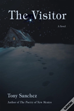 Capa do artigo Visitor