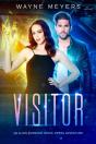 Visitor - Preview
