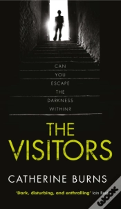 Capa do artigo Visitors