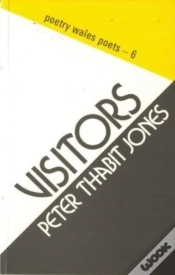 Capa do artigo Visitors