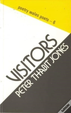 Capa do artigo Visitors