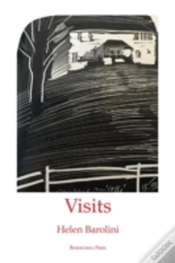 Capa do artigo Visits