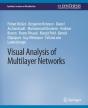 Visual Analysis Of Multilayer Networks - Preview