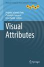 Visual Attributes - Preview
