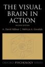 Visual Brain In Action - Preview