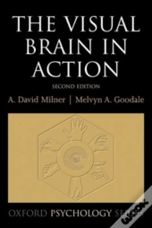 Visual Brain In Action