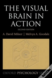 Capa do artigo Visual Brain In Action