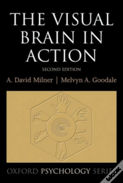Capa do artigo Visual Brain In Action