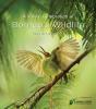 Visual Celebration Of Borneo'S Wildlife - Preview