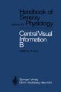 Visual Centers In The Brain - Preview