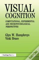 Visual Cognition