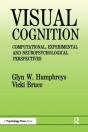 Visual Cognition - Preview