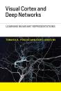 Visual Cortex And Deep Networks - Preview