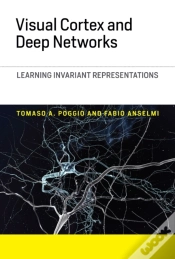 Capa do artigo Visual Cortex And Deep Networks