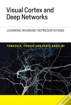 Capa do artigo Visual Cortex And Deep Networks