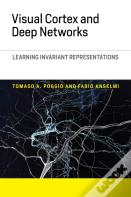 Visual Cortex And Deep Networks