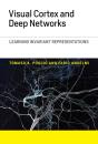Visual Cortex And Deep Networks - Preview