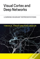 Visual Cortex And Deep Networks
