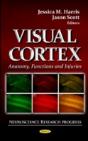 Visual Cortex - Preview