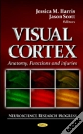 Visual Cortex