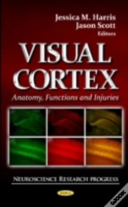 Capa do artigo Visual Cortex