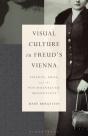 Visual Culture In Freud'S Vienna - Preview