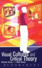 Visual Cultures And Critical Theory - Preview