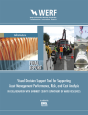 Visual Decision Support Tool For Supporting Asset Management Performance, Risk, And Cost Analysis In Collaboration With Gwinnett County Department Of  - Preview