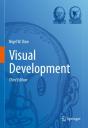 Visual Development - Preview