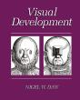 Visual Development - Preview