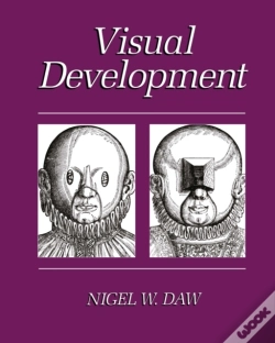 Capa do artigo Visual Development