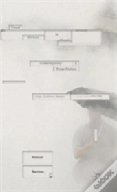 Visual Devices In Contemporary Prose Fiction