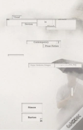 Visual Devices In Contemporary Prose Fiction