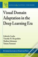 Visual Domain Adaptation In The Deep Learning Era
